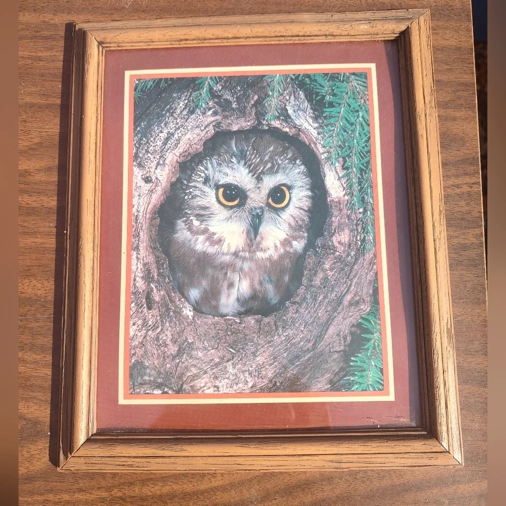 Vintage thick shadow box Owl